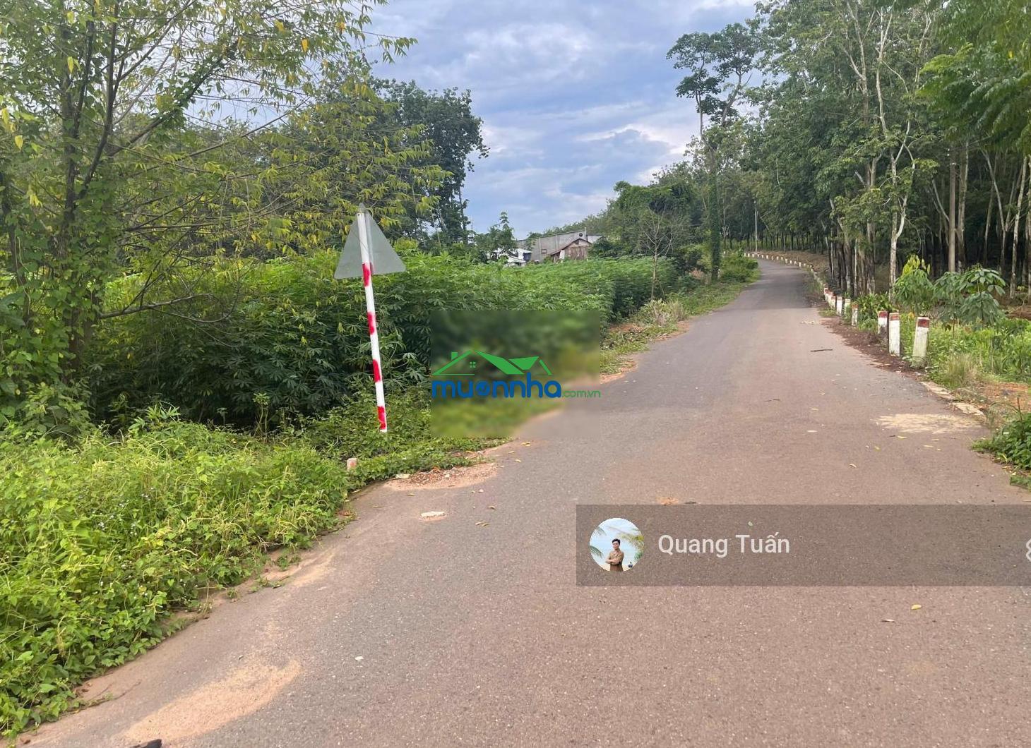 Ngộp bank cần ra gấp lô đất đẹp cạnh ubnd tân hiệp 530 triệu, khu dân cư hiện hữu, sổ hồng riêng