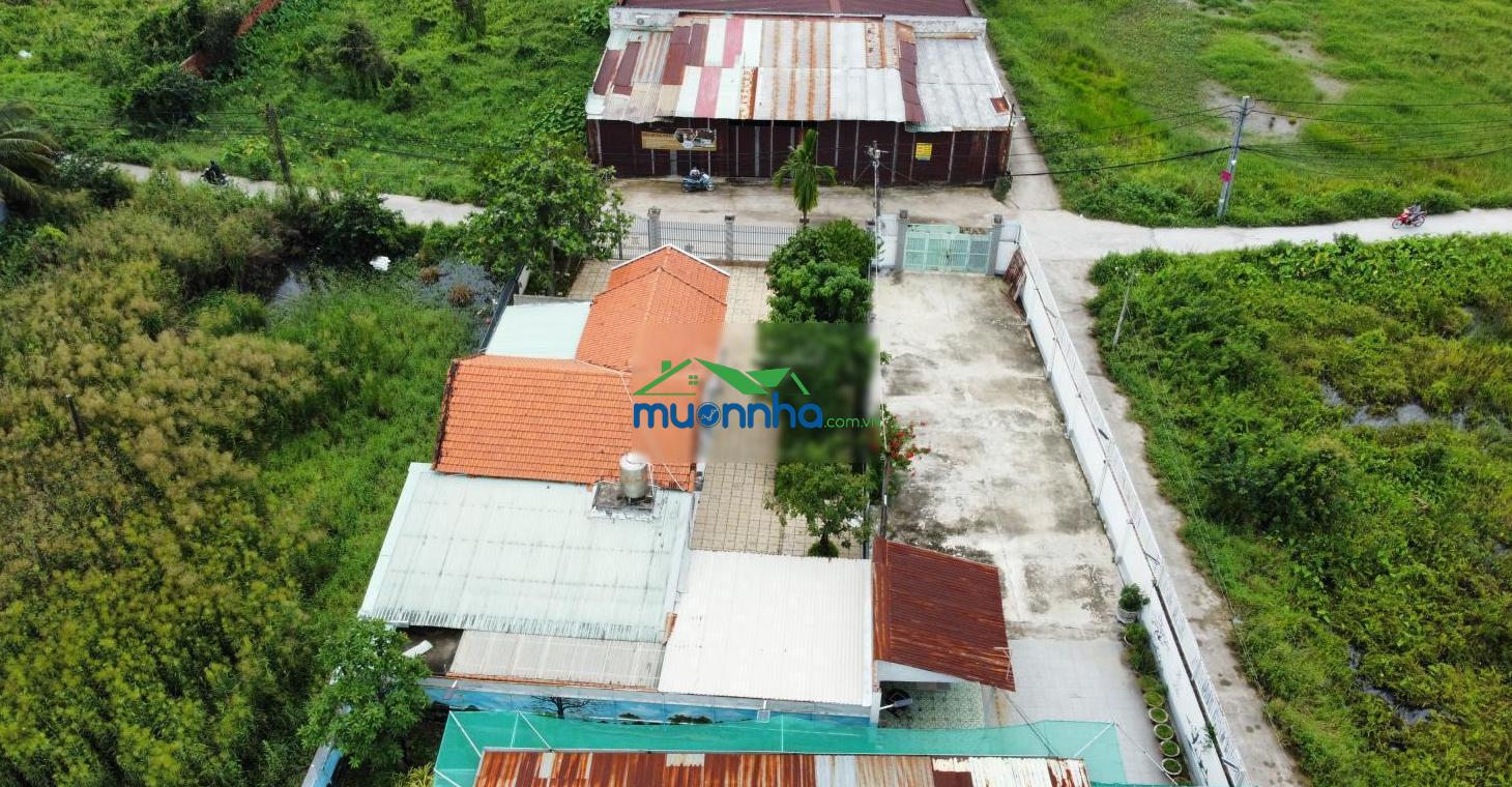 Nhà vườn 16x30m mặt tiền đường 363 - bình mỹ - củ chi - 1 sẹc hà duy phiên