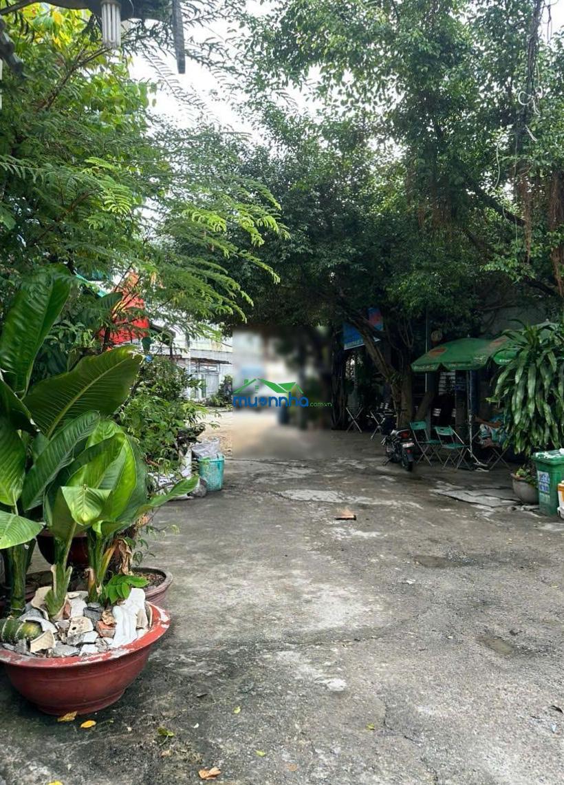 5m x 21m | 1 trệt 2 lầu hoàn công đầy đủ | tân thới nhất 5 | giá 7.5 tỷ thương lượng - Ảnh 4