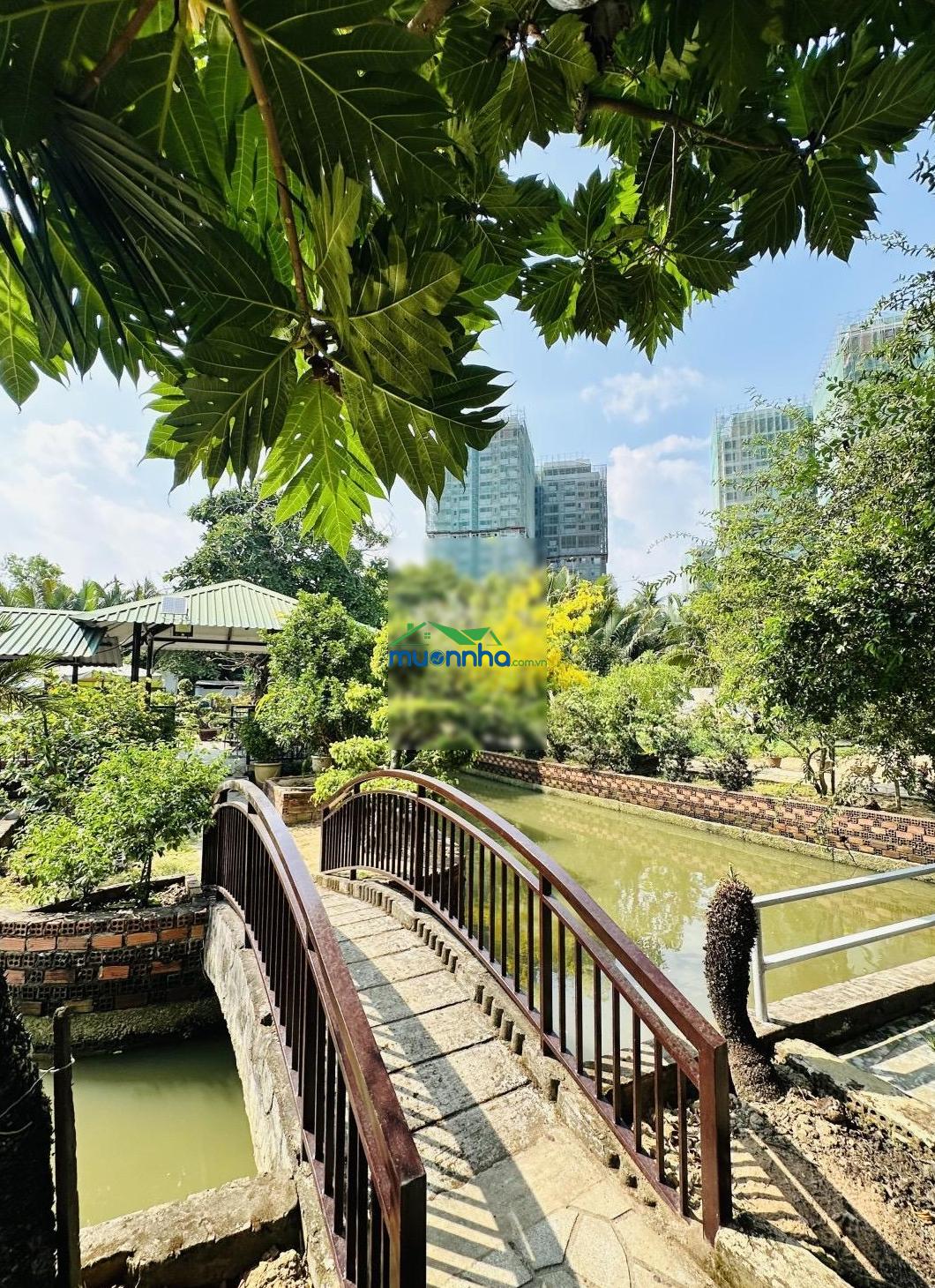 Giá chỉ 19,5 tỷ, đs4 lò lu khuôn viên 2000m2 có 200m2 thổ, sẵn nhà biệt thự vườn giáp rạch