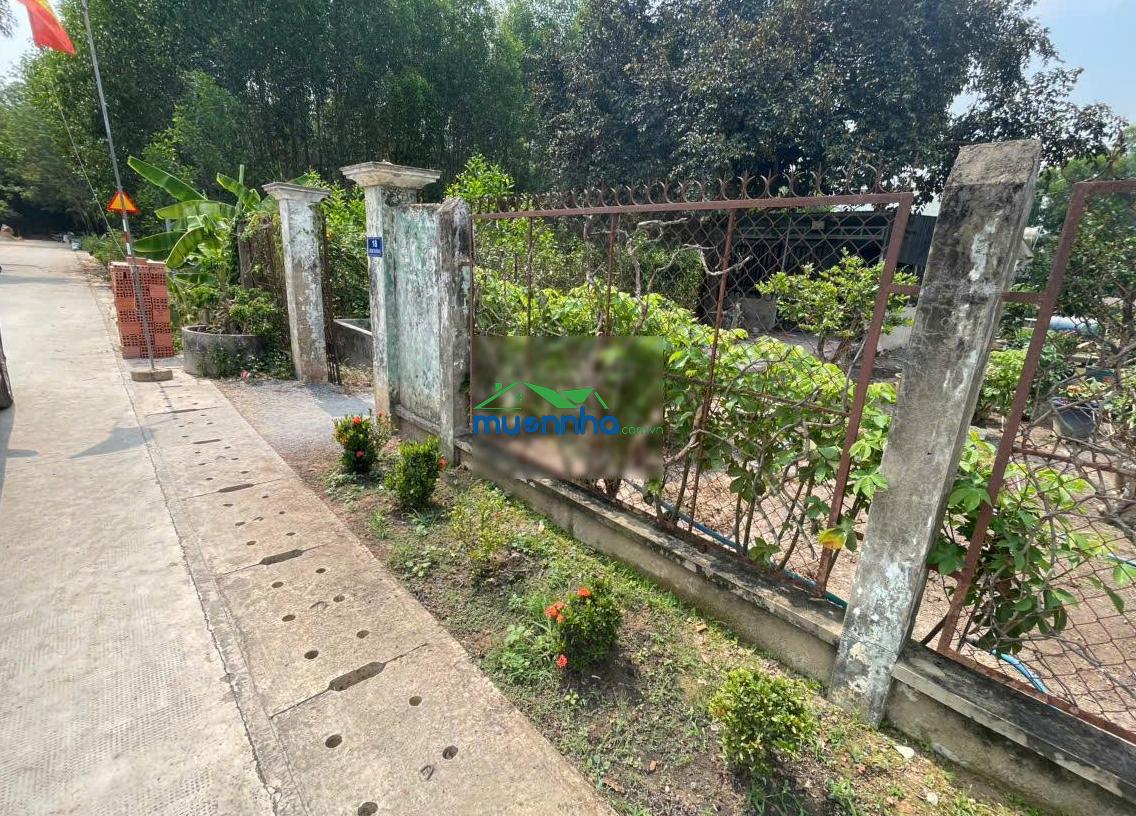 Chính chủ gửi bán đất đường tân thành 52 (288.6m² gần full thổ cư gần kcn, giá tốt)