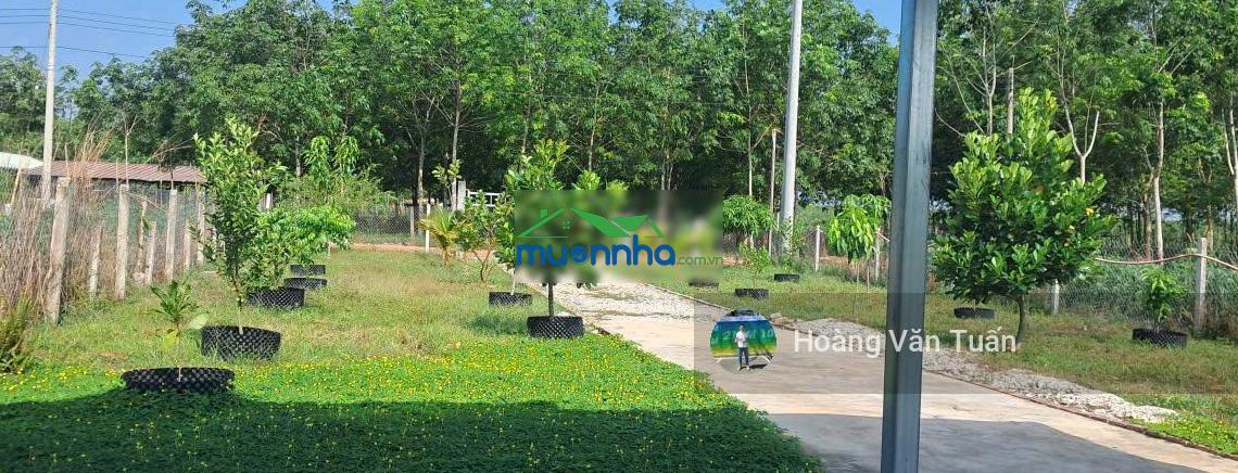 Chỉ với 516 nghìn/m2 sổ hữu ngay lô đất 2487m2 có thổ cư tại minh thạnh - hồ chí minh