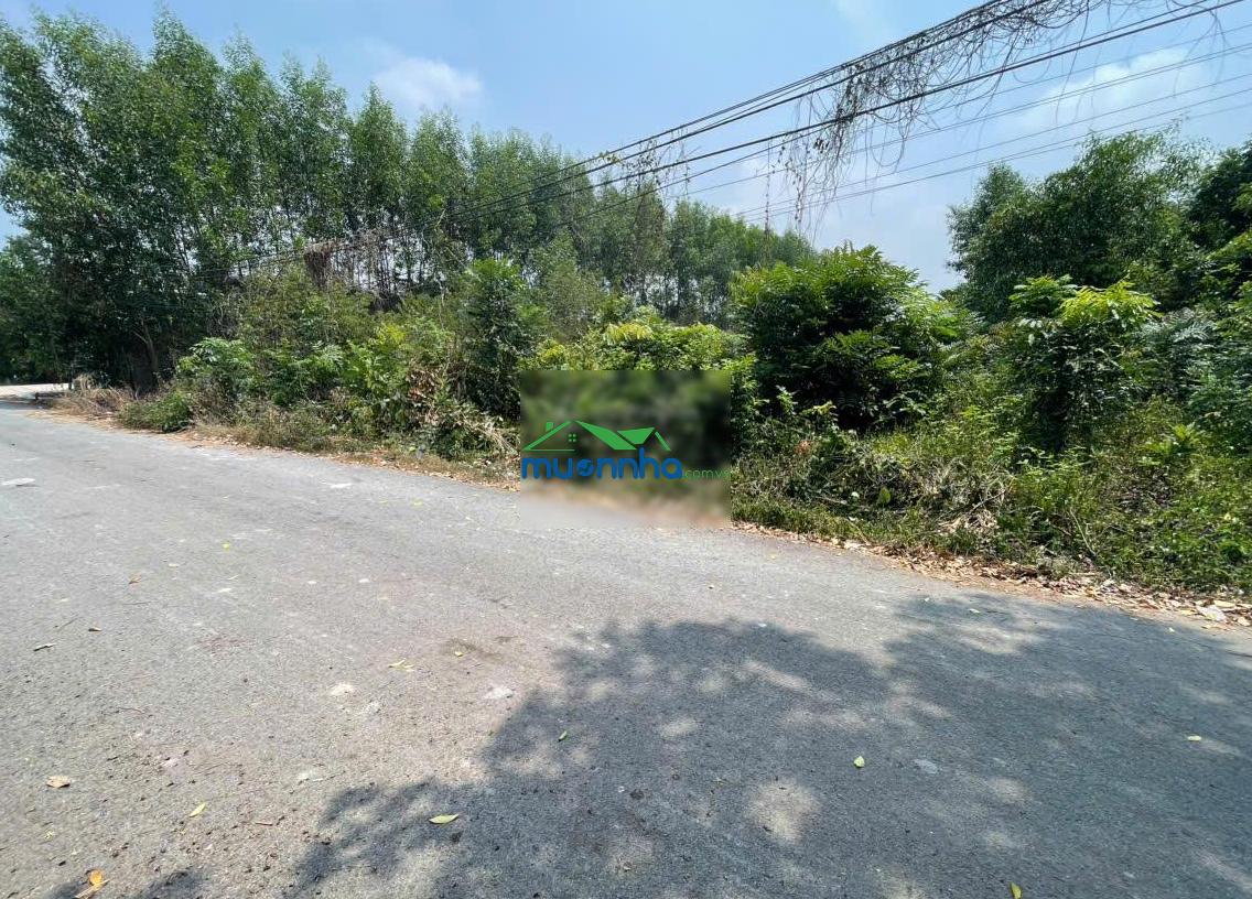 Chính chủ gửi bán đất tân thành 11 gần full thổ cư (494.3m² thổ cư cao đất rộng đẹp)
