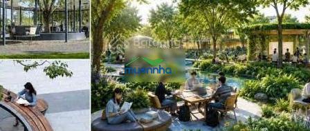 Bán nhà phố vinhomes saigon park, giai đoạn 1 giá chỉ 111 triệu/m2 - 4