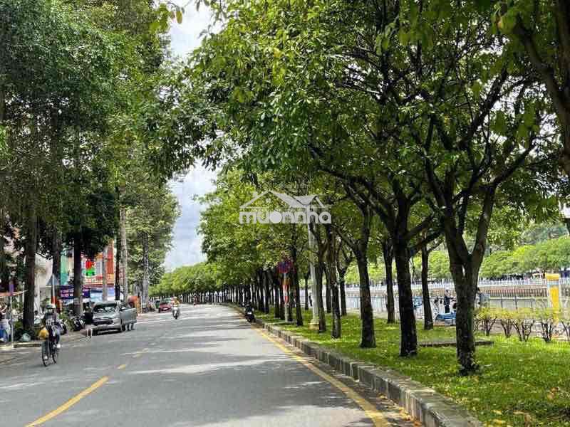 🔥🔥🔥60m2! chủ đang kẹt cần bán gấp! bán nhà 2 tầng lý chính thắng, p8.