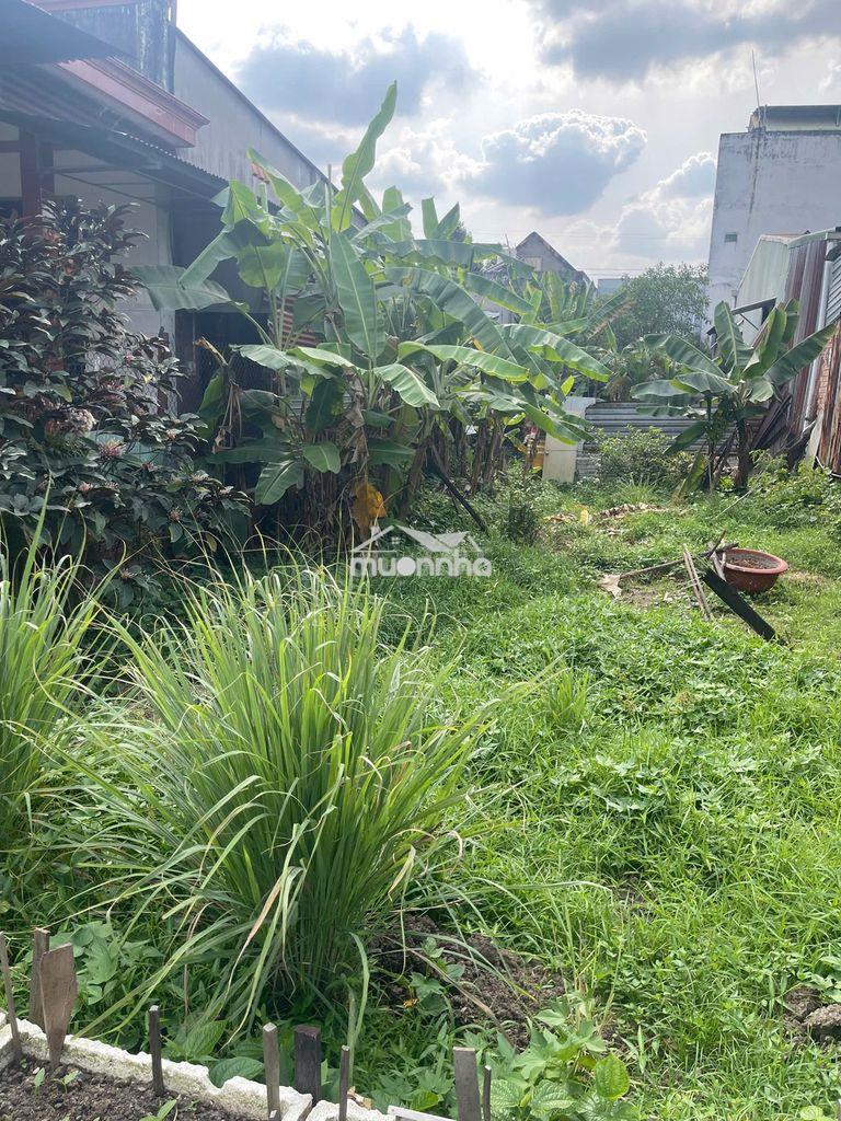 Đất nền thổ cư tại long bình tân, tp biên hòa, 176m², giá 5,7 tỷ đồng - 2