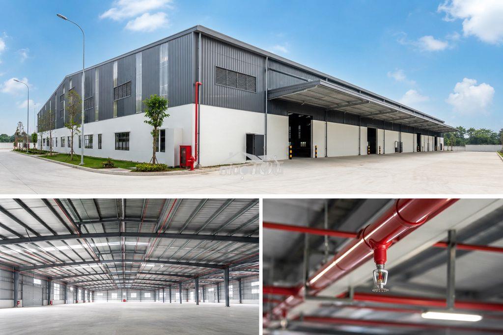Cho thuê kho - xưởng 1.000m² mới xây – pccc tự động – giá 65k/m² - 2