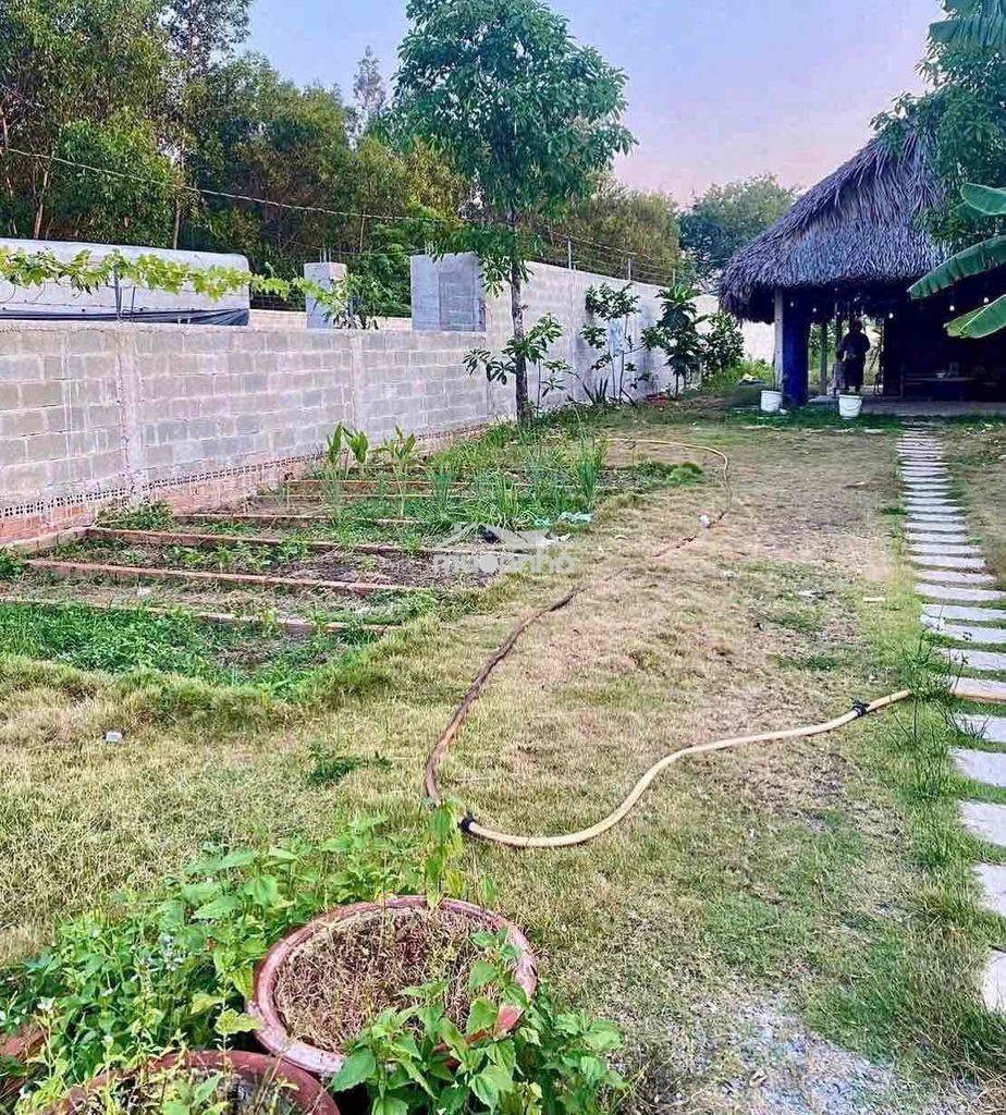 Bán bấp miếng đất - 2