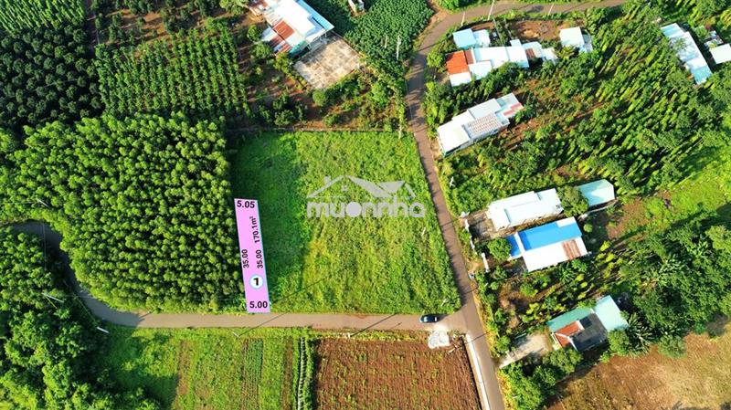 🔥 Đất thổ cư 120m2 thổ cư chỉ 400tr tại thị trấn dầu giây, gần cao tốc