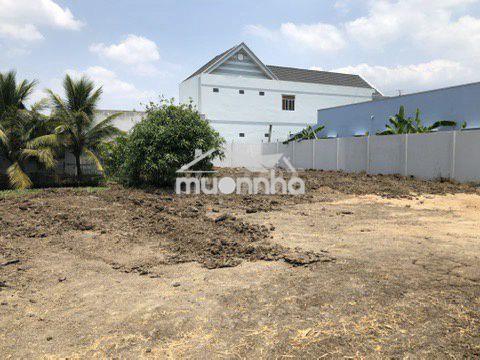 Cho thuê đất 1000m2 làm kho xưởng tại nhựt tảo, tây ninh, giá tốt
