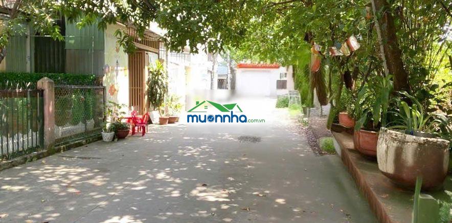 Nhà cấp 4 đường thạnh lộc 31 phường thạnh lộc q12, dt 270m hẻm 6m giá 14,5tỷ