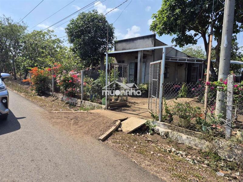 Đất nền thổ cư, mặt tiền đường nhựa chủ gấp bán chỉ hơn 400 triệu