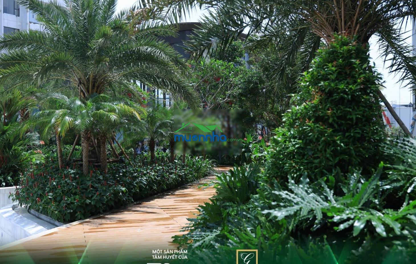 Căn hộ cao cấp green square cạnh go dĩ an, làng đhqg tphcm - 2