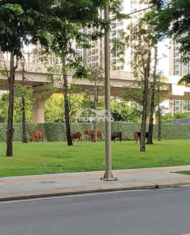 Căn hộ 1pn+ rainbow bán 2,15 tỷ có sổ 47m2 - bán gấp mua nhanh gọn lẹ