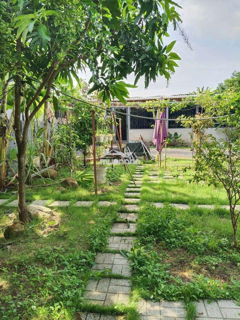 Nhà vườn nghĩ dưỡng 700m² phường bửu long