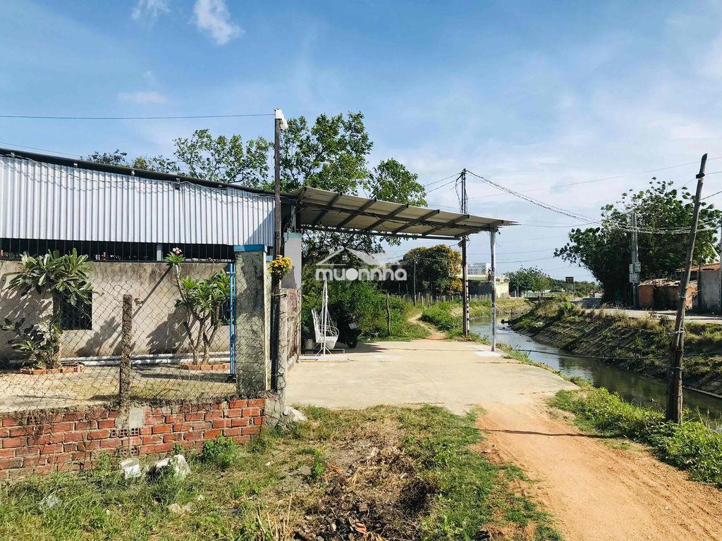 Bán đất 4,5x18 , có sổ hồng gần bệnh viện tỉnh giá rẻ - 3