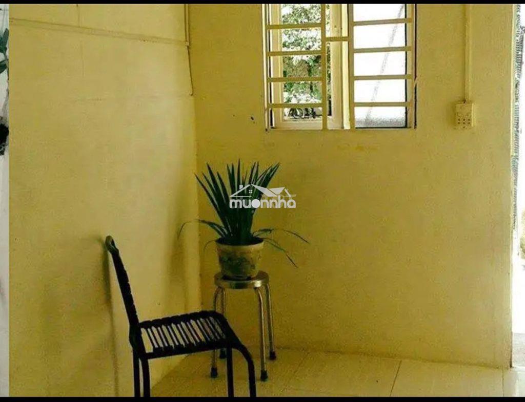 Nhà trọ có sân vườn ql 50, bình chánh, giáp q8 biệt lập an ninh 24/24 - 4