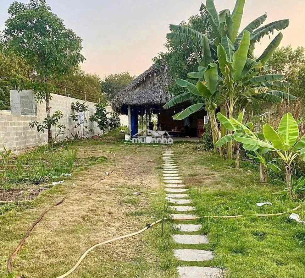 Bán gấp miếng đât - 3