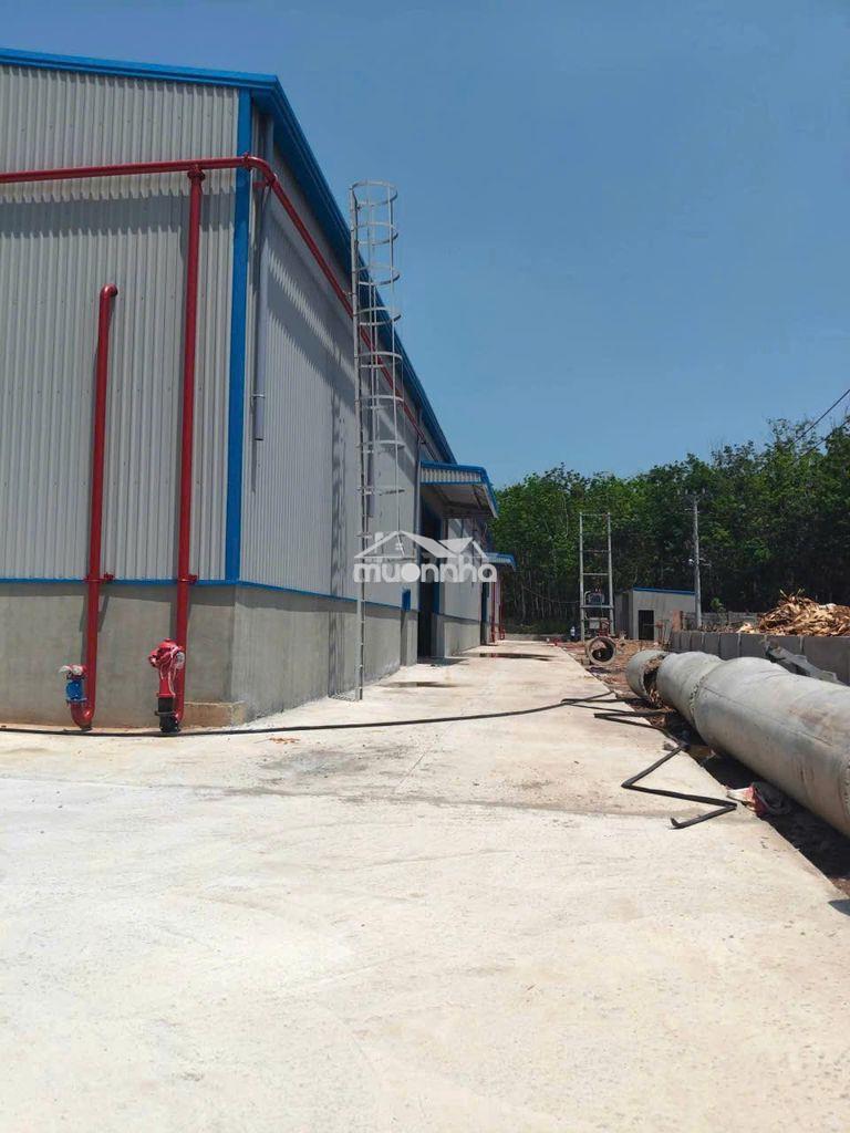 Cho thuê  xưởng phú giáo bình dương hồ chí minh diện tích :9000m2 - 3