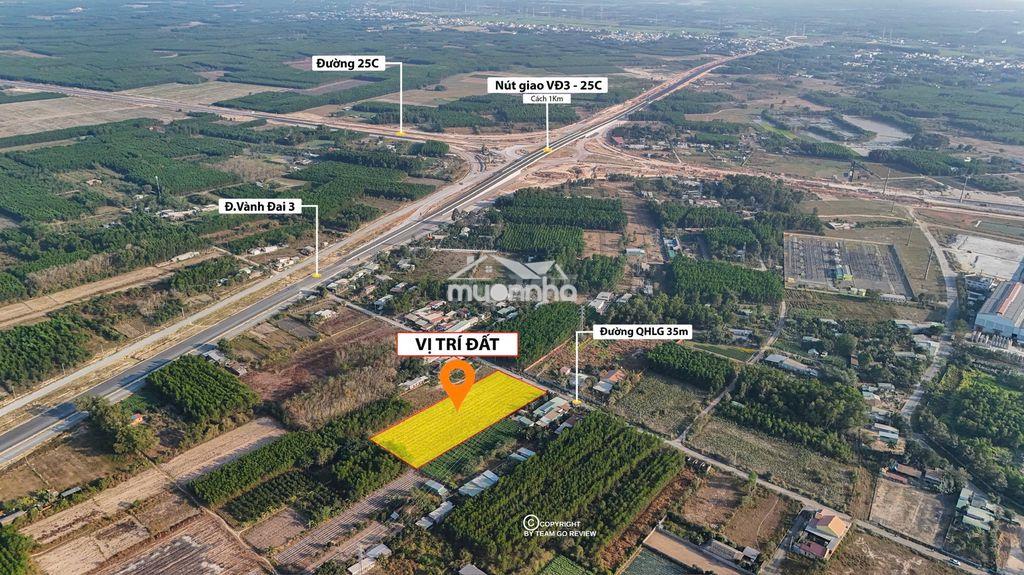 🔥 Bán 6.000m² đất cây lâu năm phú thạnh - nhơn trạch 🔥 - 3