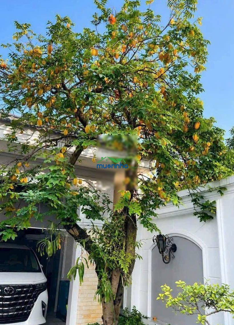 Bán biệt thự phường chợ lớn q5 dt: 8m x 13m 1 hầm 1 lửng 3 lầu 1 sân thượng 1 thang máy giá 11 tỷ - 2