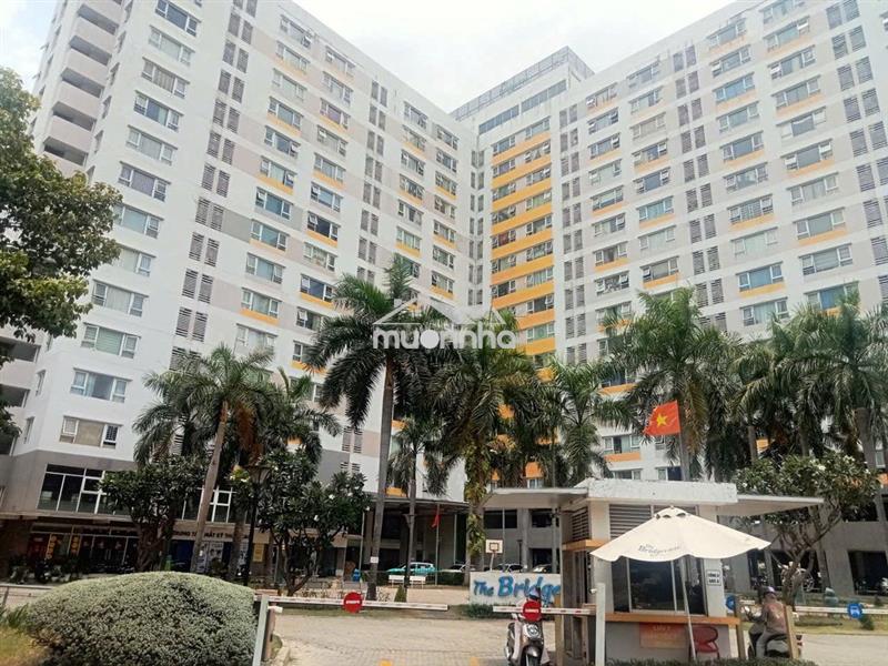 Tầng lửng ehome 5 the bridgeview dt 448m², kd đa ngành nghề