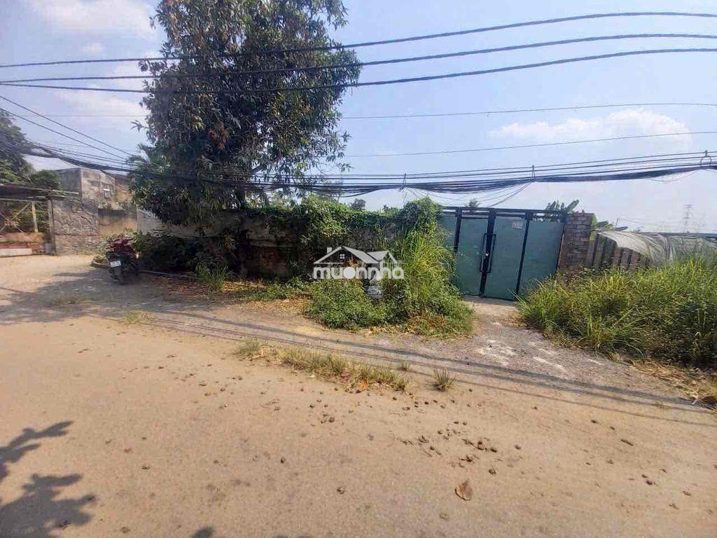 ✅ Cho thuê đất (có sẵn nhà tạm) 400m2. p. tam bình, tp.hcm - 2