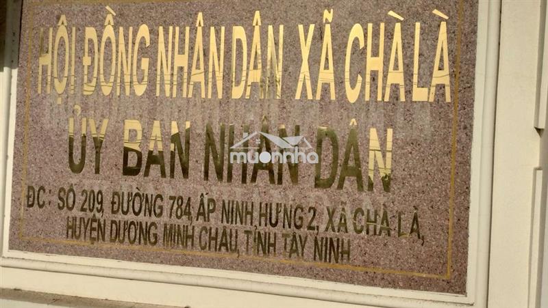Nhà ở  kho xưởng