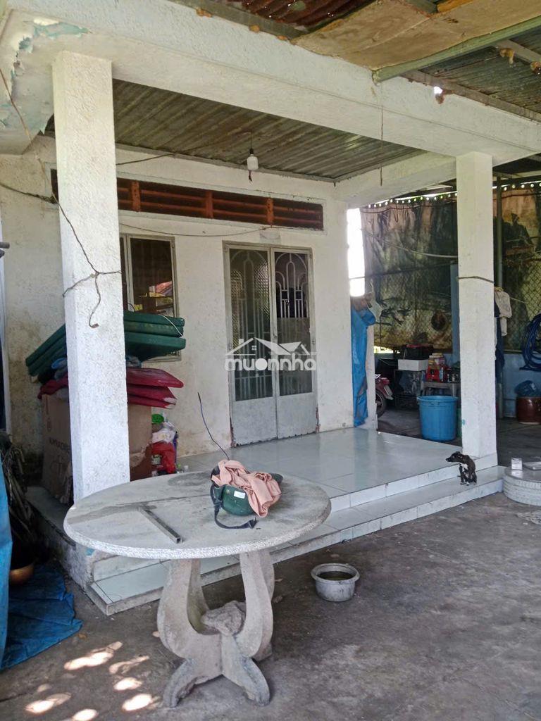 Bán nhà đất sổ riêng 213m2 thị trấn long thành - 4