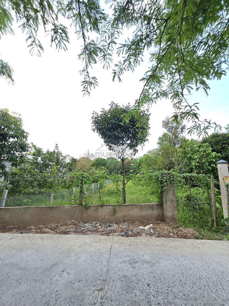 Nền giá rẻ gần chợ bông vang - 4
