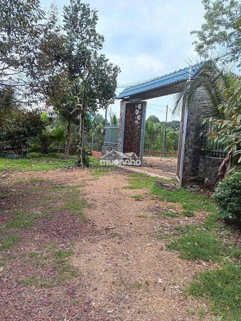 Biệt thự nghĩ dưỡng gần sân bay long thành - 2
