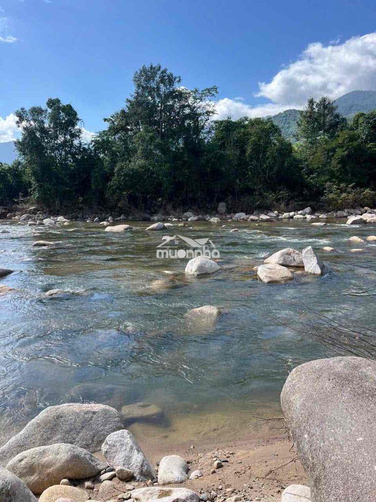 Bán đất view sông máu quy hoạch thổ cư giá rẻ - 2