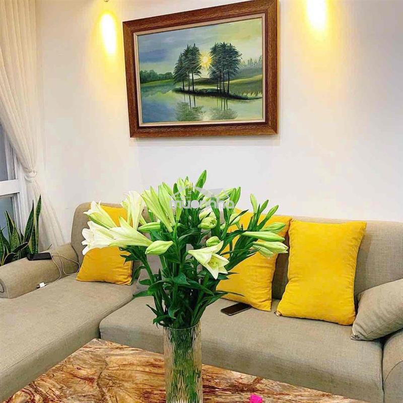CHO THUÊ CHUNG CƯ REMAX PLAZA 20 PHẠM ĐÌNH HỔ , QUẬN 6