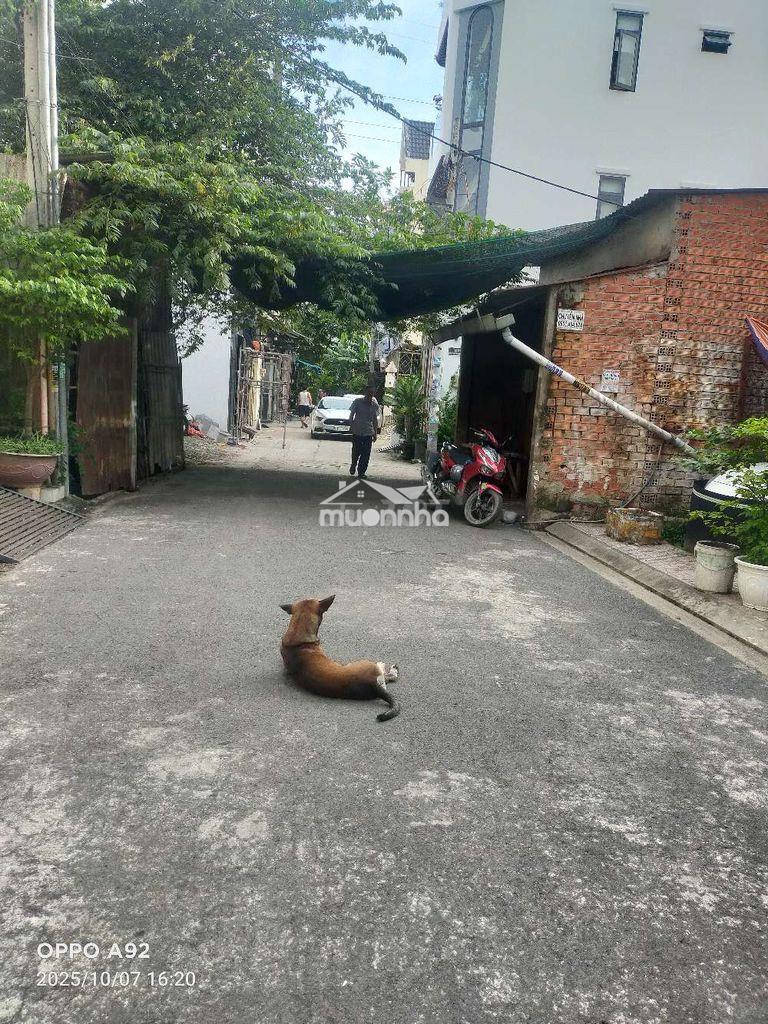 Ngay bình trị đông bình tân dt 44m2 3tần 4pn 4wc - 4