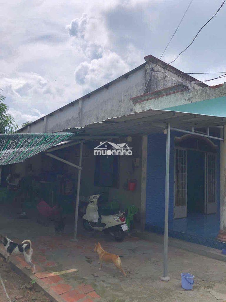 Đất 17x45 (tặng nhà) thổ cư mt tỉnh lộ 15, an phú, củ chi cần bán