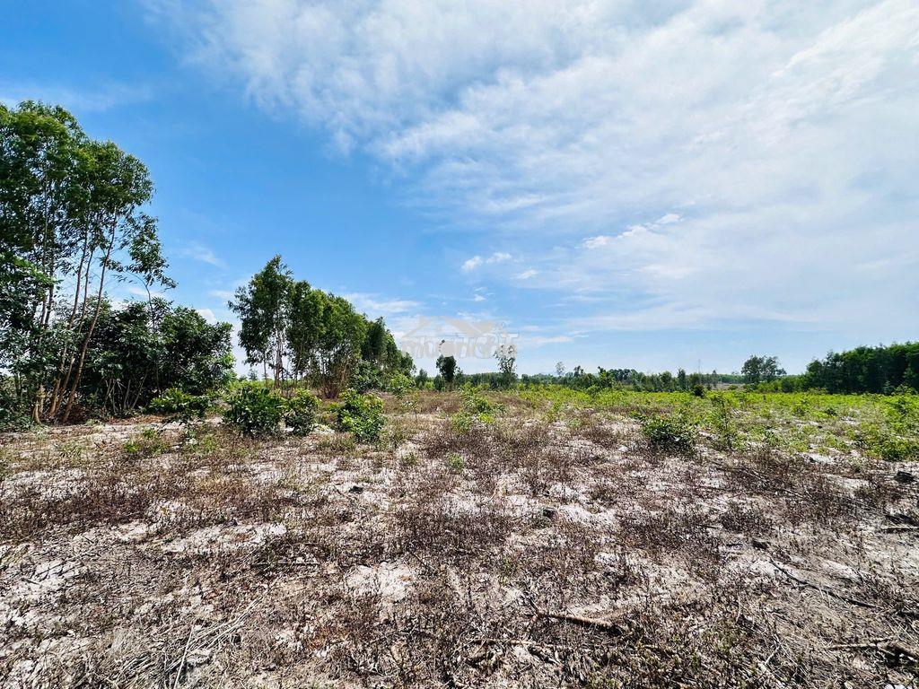 Bán 4000m2 đất mặt tiền đương 719, tân bình, lagi giá mềm 700 triệu/ - 4
