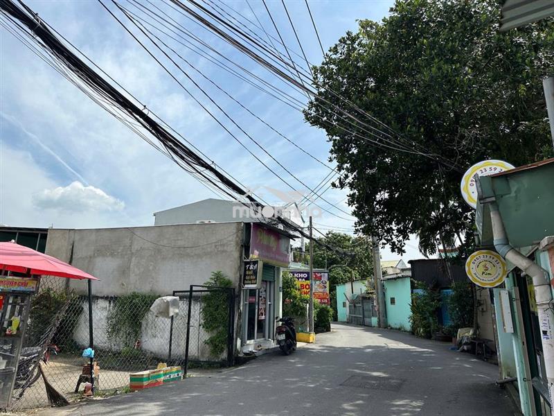 Mt bình trưng (289m2 thỗ cư) - 55tr/m2