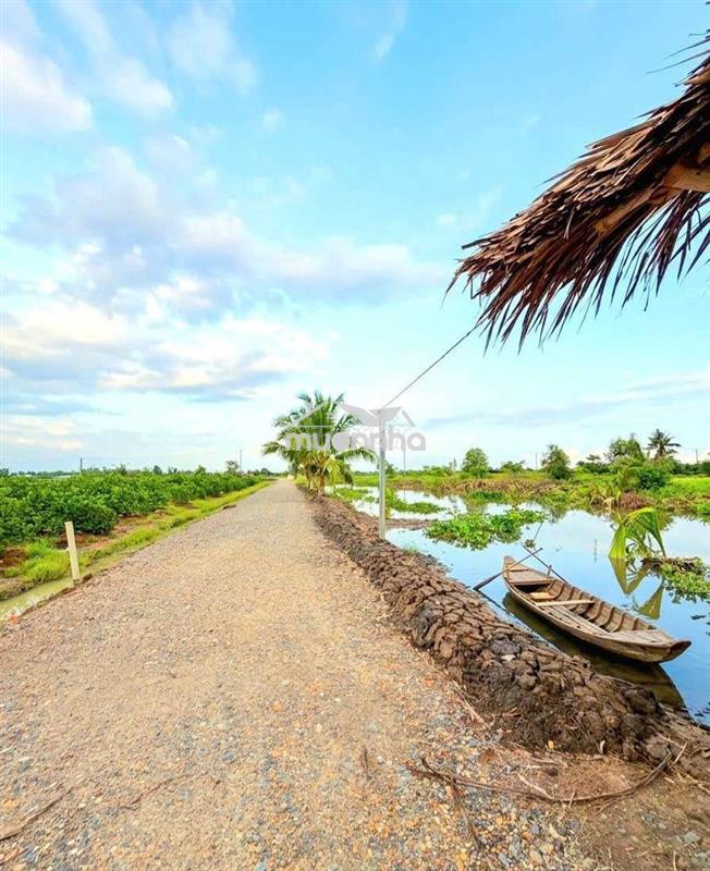 Quá ngộp, chỉ 440tr sở hữu 1000m² đất vườn xoài cực đẹp
