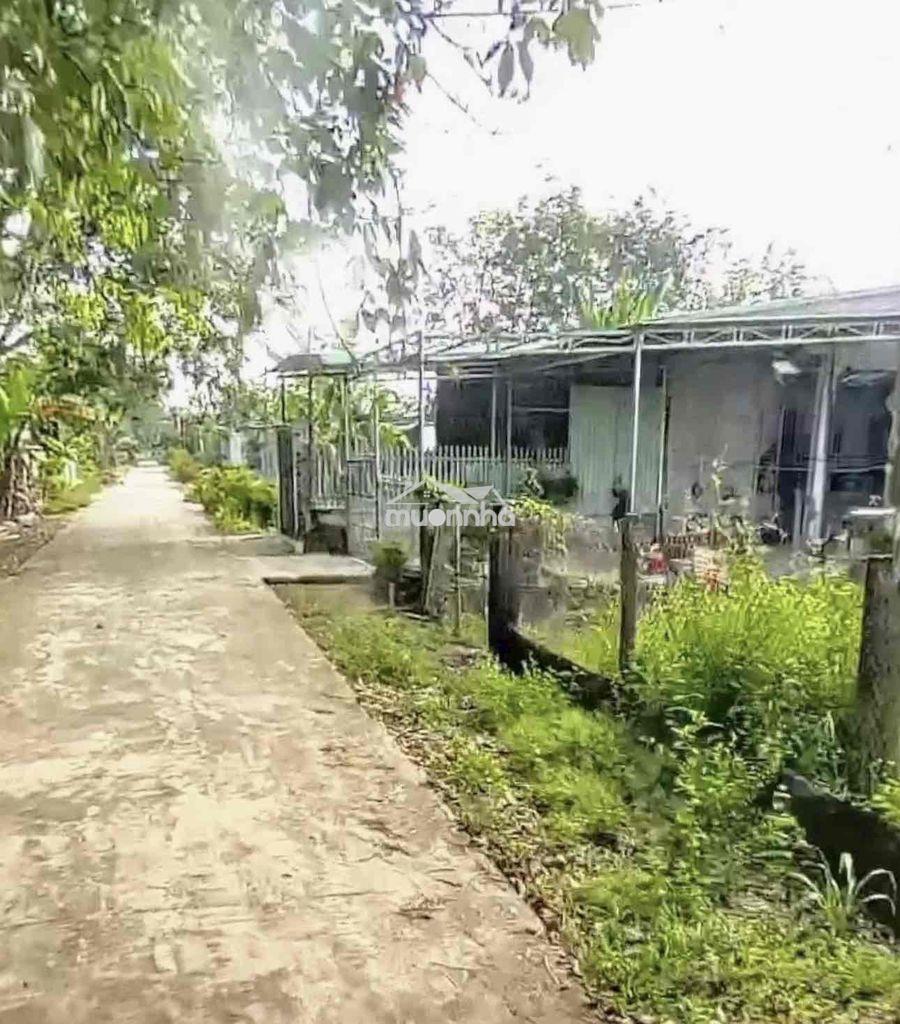 Đất vườn giá rẻ tp.hcm - 2