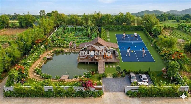Đất lành chim đậu - diện tích quá đẹp để xây nhà nghỉ dưỡng.