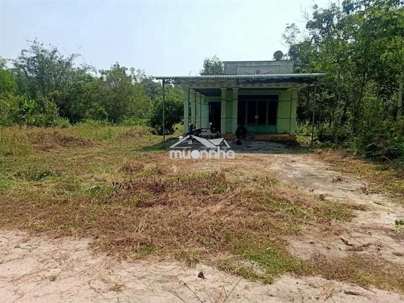 Nhà cấp bốn, xã định hiệp, huyện dầu tiếng, diện tích 778m2, có thổ cư