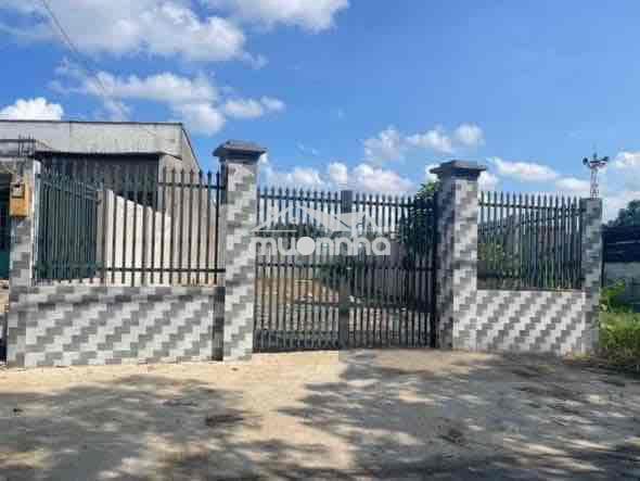 Đất giá rẻ