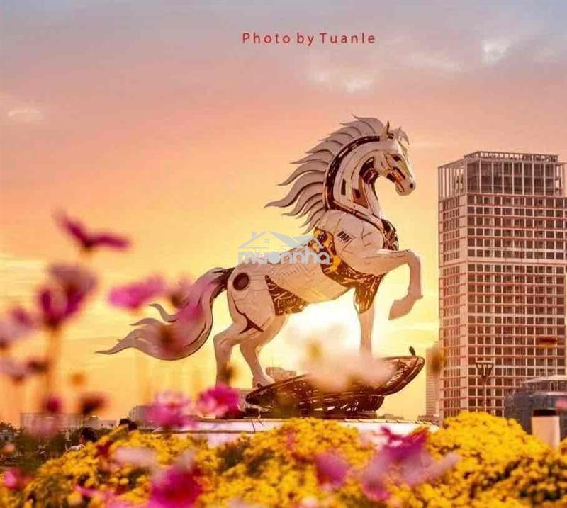 Bán đất dự án nam hoà xuân giá tốt