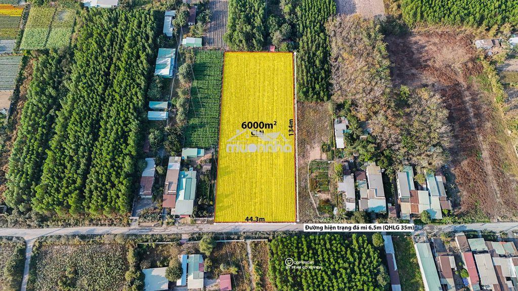 🔥 Bán 6.000m² đất cây lâu năm phú thạnh - nhơn trạch 🔥 - 4