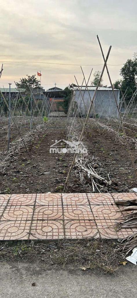 🔥 Cần bán gấp lô đất 134.9m², xuân đông, cẩm mỹ, đồng nai–