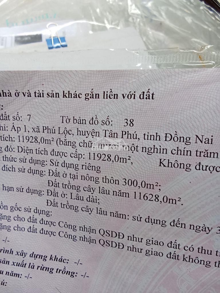 Đất trồng cây lâu năm - 3