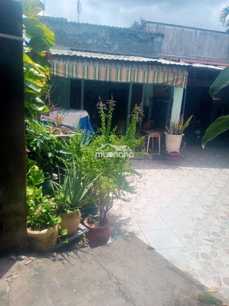 Bán nhà đất 183m² có 3 nhà cấp 4, gần chợ tân phước khánh 2ty9 - 2
