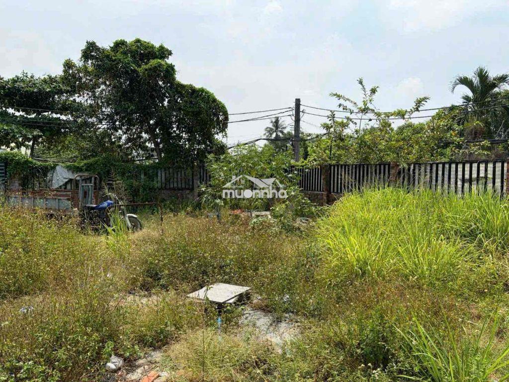 ✅ Cho thuê đất (có sẵn nhà tạm) 400m2. p. tam bình, tp.hcm - 3