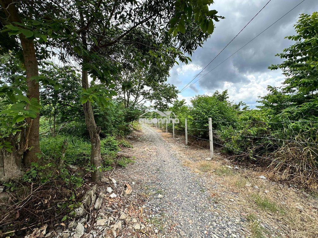 Cần bán lô đất 250m ngang mặt tiền đường - 4