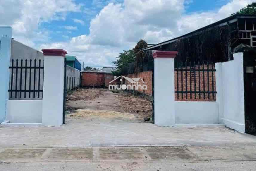 Mặt tiền nguyễn thị se 200m2 full thổ cần bán gấp lấy tiền chữa bệnh - 2
